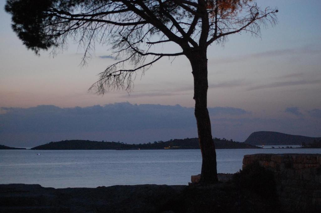 Villa Dedem Hotel Foça Exterior foto